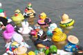 Maschseefest23014   591